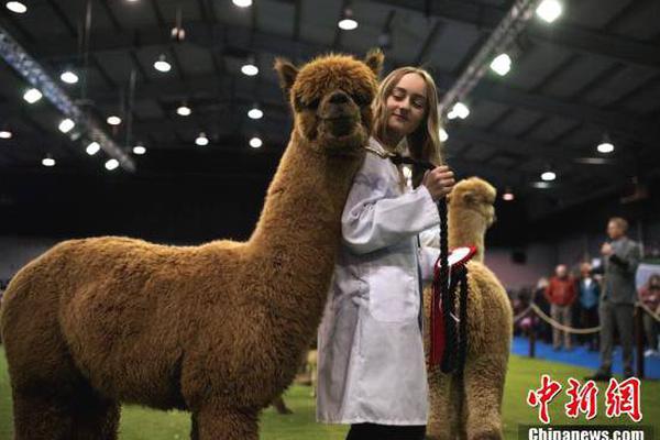 A city installed more public charging stations for electric vehicles in shopping center parking lots