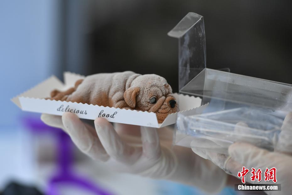 Study reveals that eating nuts as snacks reduces afternoon hunger