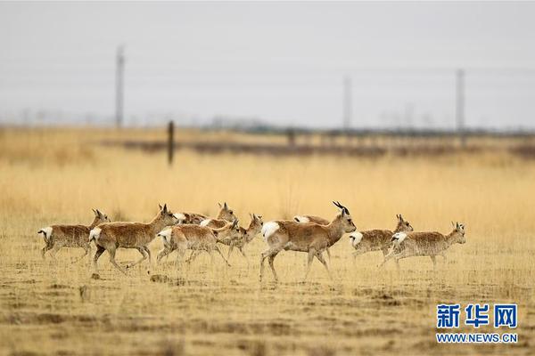 The national soccer team qualified for the World Cup after winning their final qualifying match against a rival team