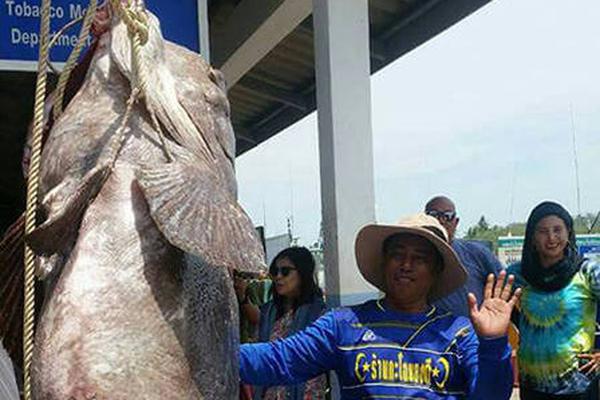 The government offered tax breaks to homeowners who install solar panels on their roofs