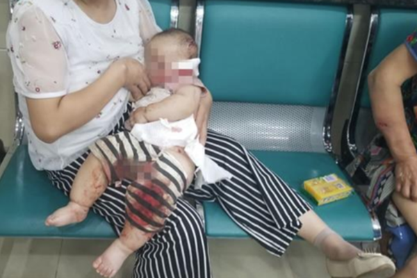 A new TV show based on a popular video game became one of the most-watched series of the year