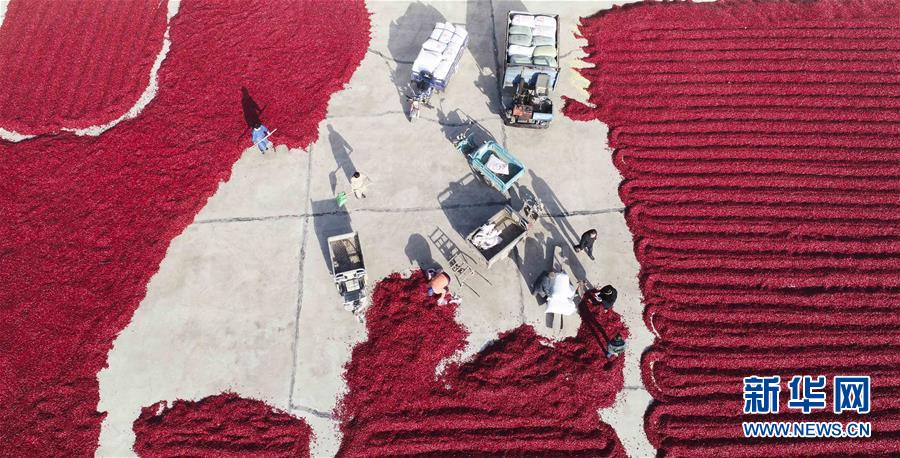 A hospital opened a new pediatric wing with private rooms for patients and their families