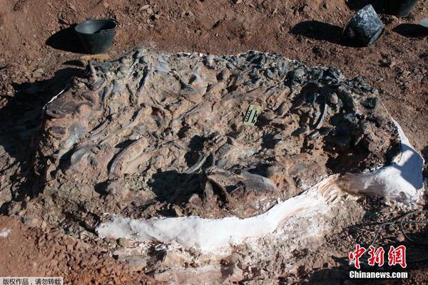 Archaeologists uncovered a stone altar in a jungle region dating back 3000 years