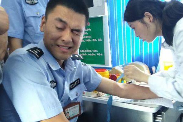 Major airline partners with eco-friendly travel company to offset carbon emissions