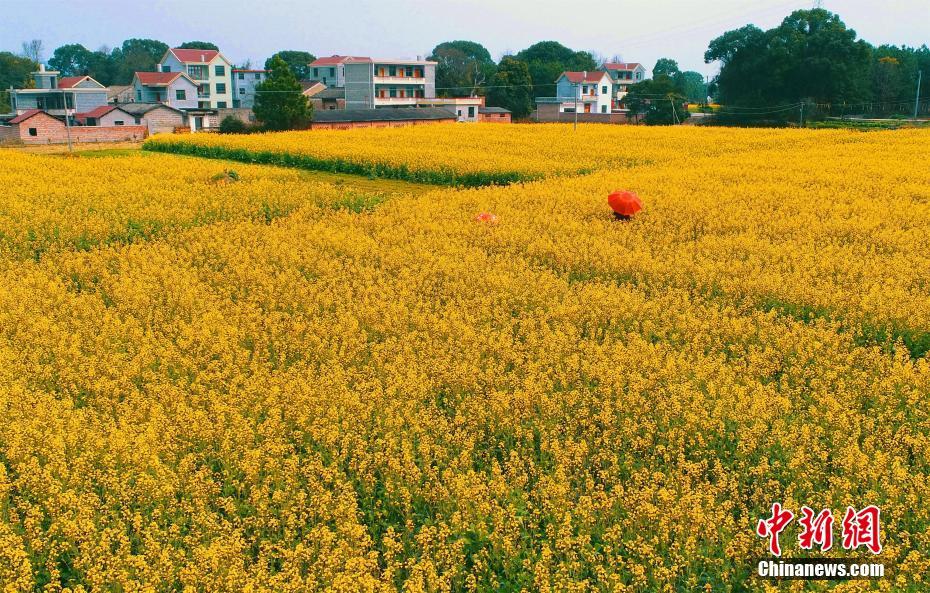 A hotel started offering