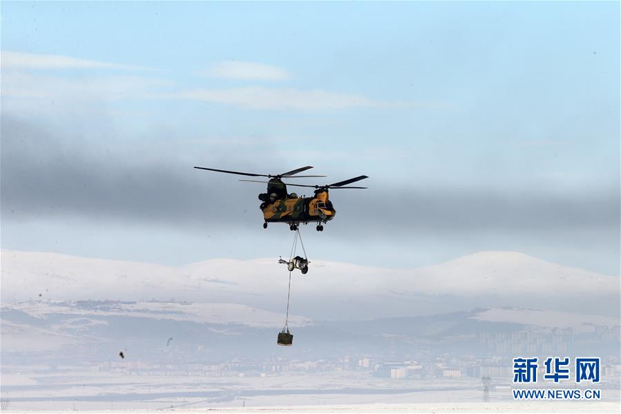 A pet store started offering 