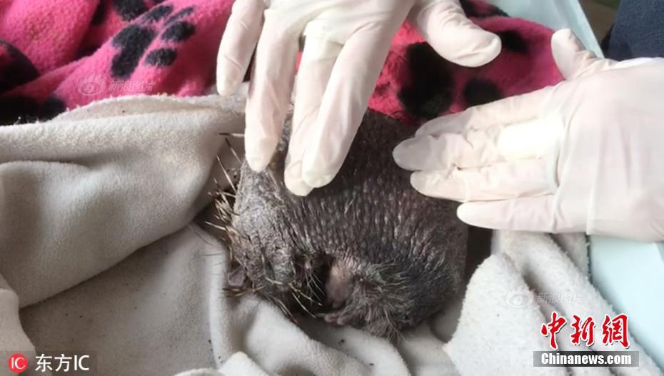 A famous singer announced a farewell tour after 30 years in the music industry