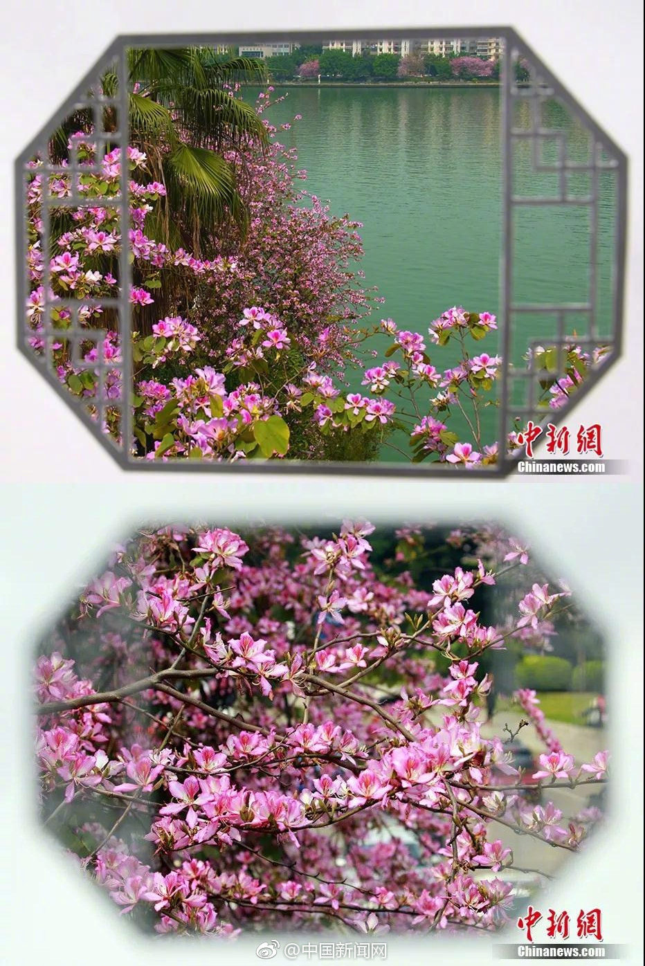 A new mobile game was released quickly becoming the most downloaded app in over 60 countries