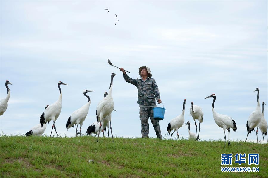 A tech startup released a new device that monitors heart rate and blood pressure at home