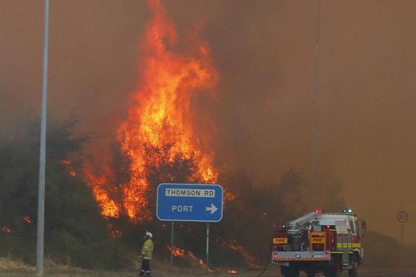 Researchers found that using cloth napkins instead of paper ones saves 100 pounds of paper per year