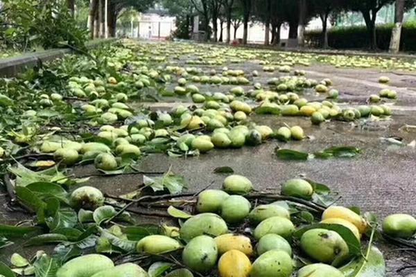 Bloggers attend conference to learn about social media trends