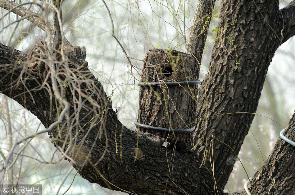 Government allocates $20 million to upgrade rural internet infrastructure