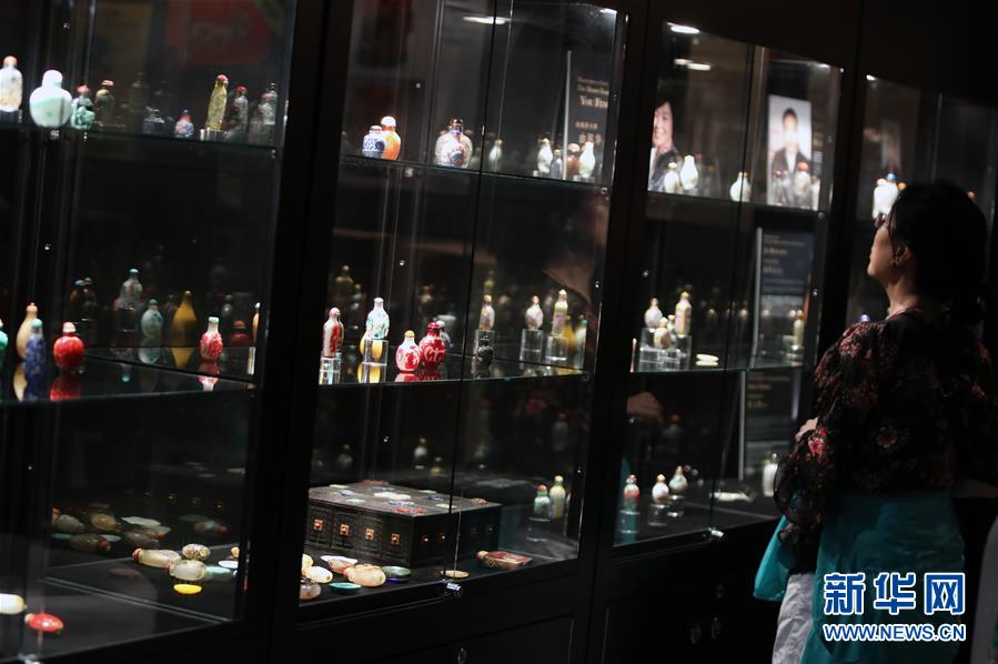 The public transit system added 35 new electric buses to its fleet to reduce carbon emissions