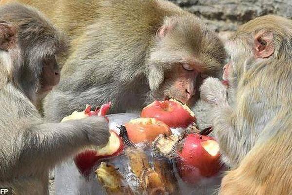 A fashion store started selling