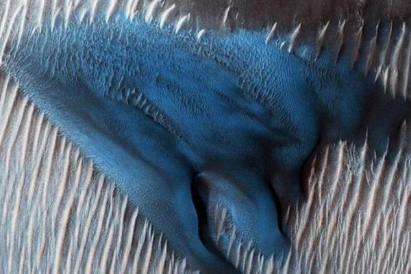 A bakery introduced a line of vegan donuts that became a top seller