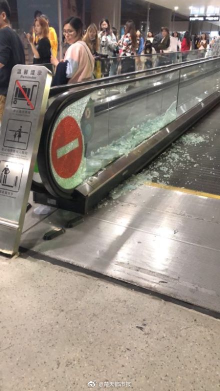 A city council approved a plan to plant 1,000 new trees in urban parks over the next year