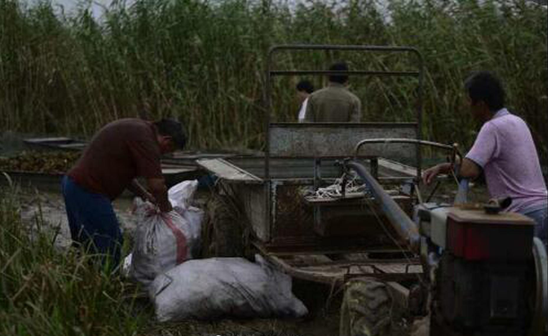 A farmer’s market added 10 new vendors selling handmade soaps and candles this season
