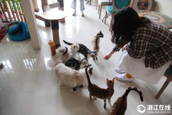 The city hosted a music festival with local and international artists