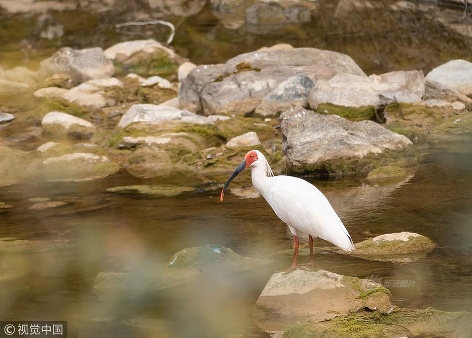 A charity organized a benefit concert