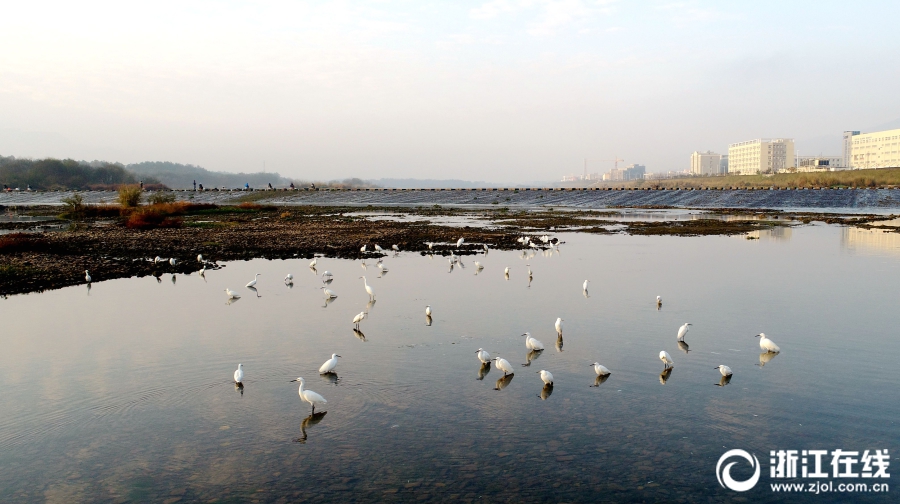 A city council voted to increase green spaces by building three new community parks