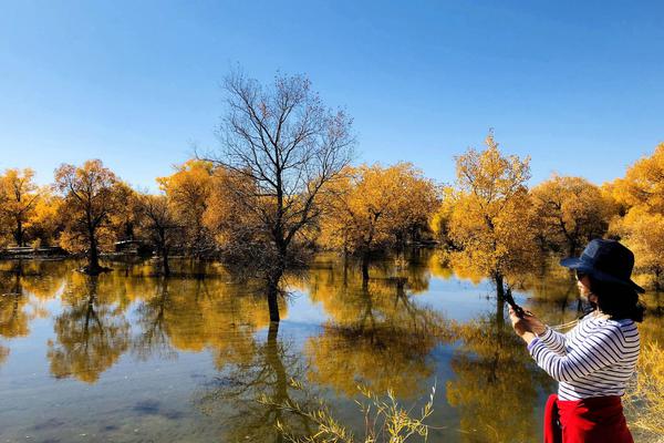 Plant nursery offers wide variety of native plants for home gardens