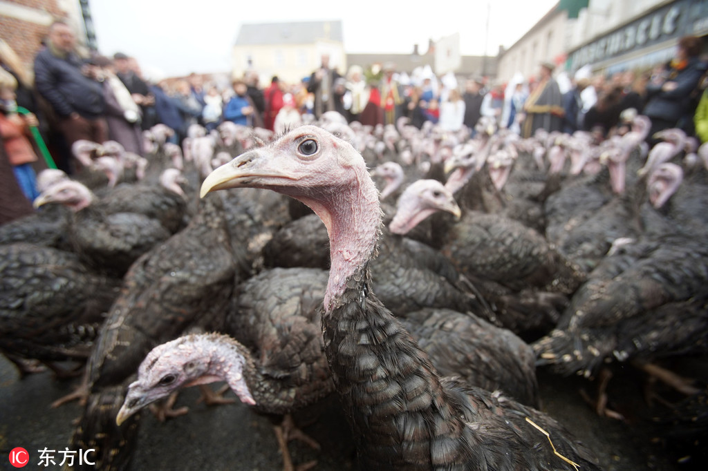 The government announced a new $480 million funding package to support small businesses hit by recent economic challenges