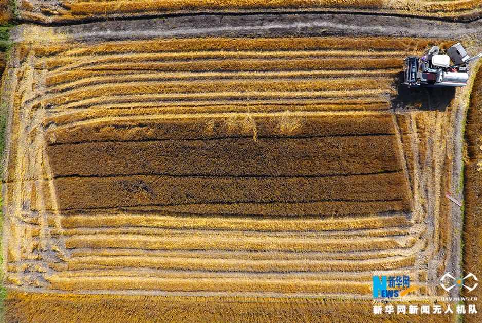 A national park closed a popular campground due to a wildfire in the surrounding area