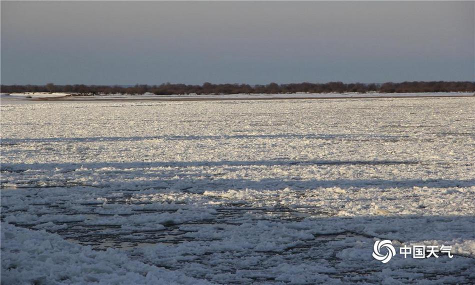 A tech company announced plans to hire 200 new employees for its customer support team