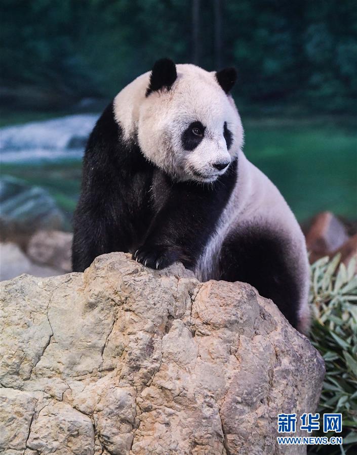 A grocery store started selling plant-based milk alternatives like oat and almond milk