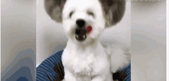 A farmers market started accepting mobile payments to make transactions easier