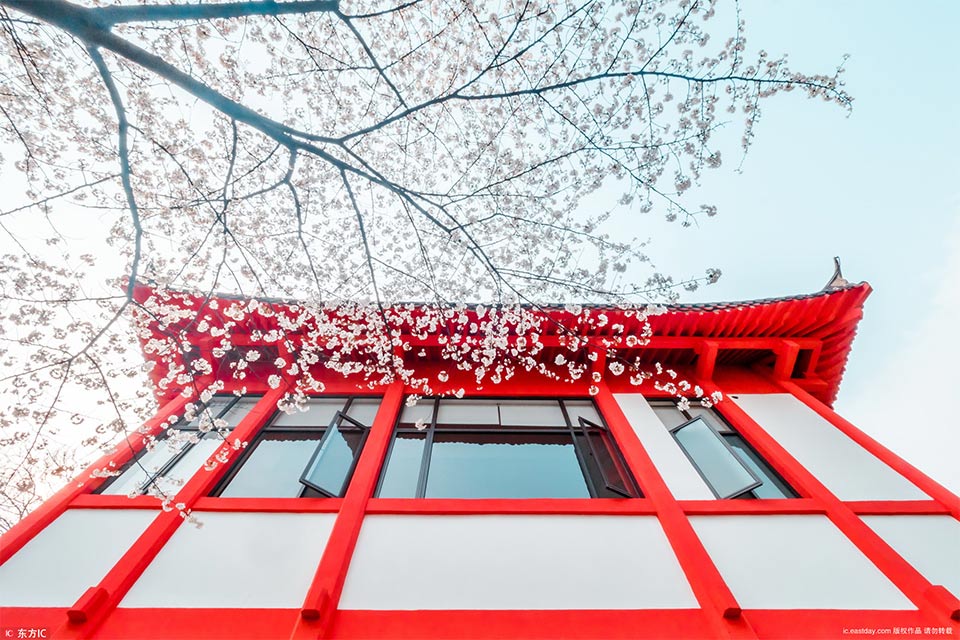 A charity organized a food drive that collected 8,000 pounds of non-perishable food