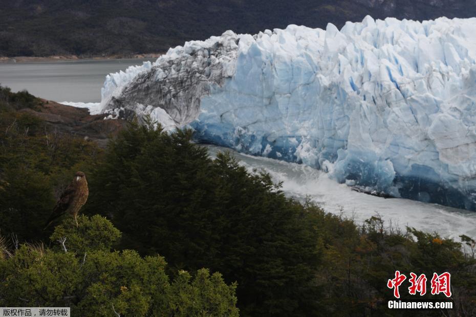 A bookstore started a book club for teens focusing on young adult fiction