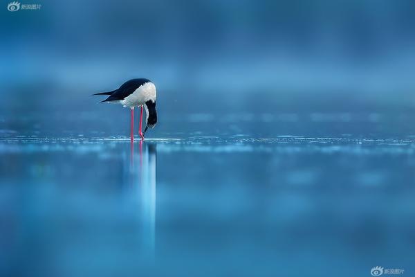 Music festival announces headliners including Grammy award winning artists