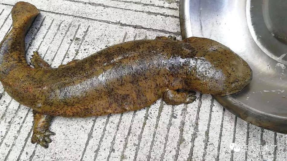 A large retail company said it will phase out single-use plastics in all its stores by the end of 2025