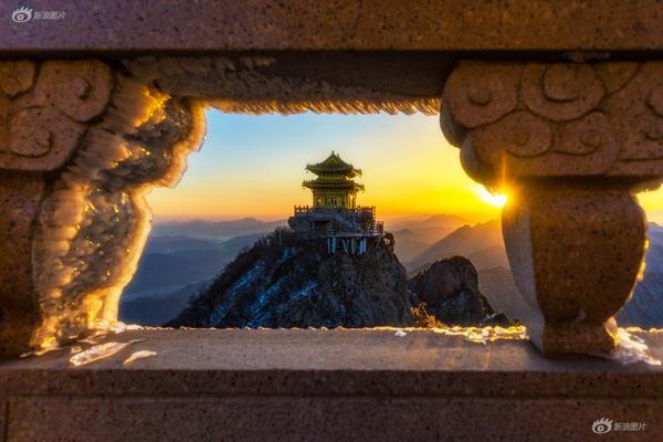 Researchers found that a plant-based diet helps reduce the risk of heart disease