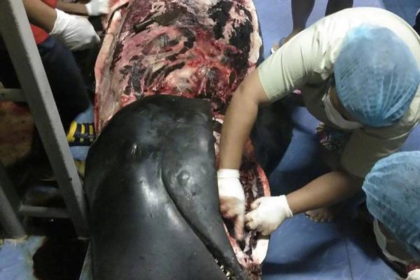 The government passed a law to protect consumers from hidden fees on airline tickets and hotel stays