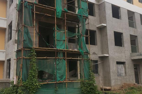 A local farm offered tours where visitors can learn about organic farming practices