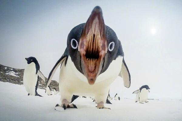 A multinational corporation announced it would relocate its headquarters to the city bringing 500 high-paying jobs