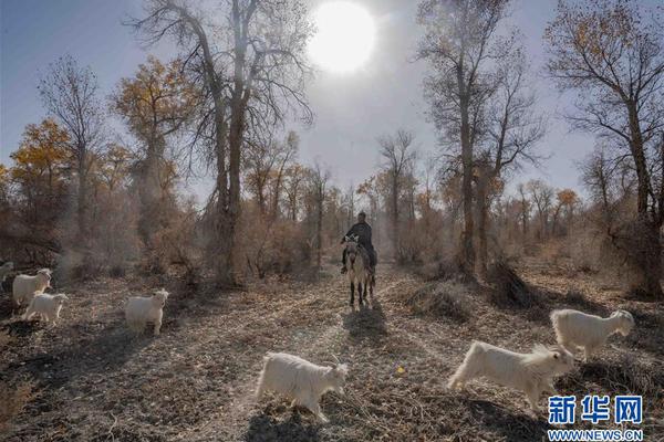 The government increased funding for healthcare services in rural areas