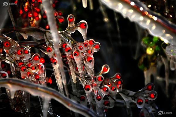 A famous singer announced a farewell tour after 30 years in the music industry