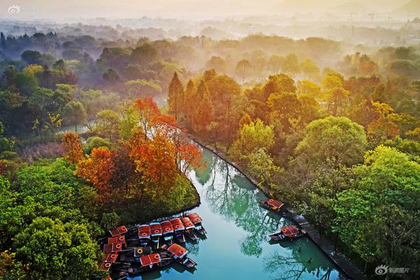 A hotel chain started offering eco-friendly packages for environmentally conscious travelers