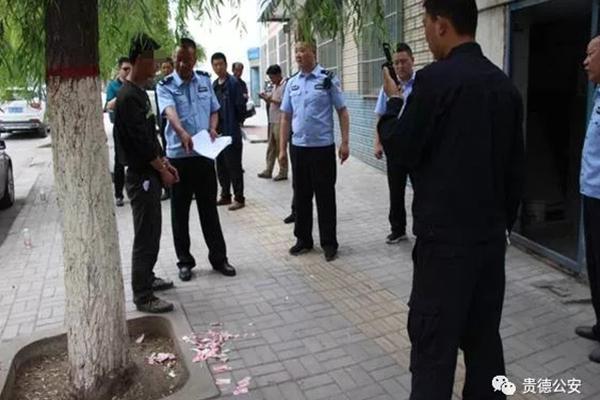 An environmental organization reported that the number of endangered sea turtles has increased by 31% over the past decade