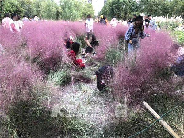 A study found that regular meditation can lower blood pressure by an average of 5.6 mmHg in adults with hypertension