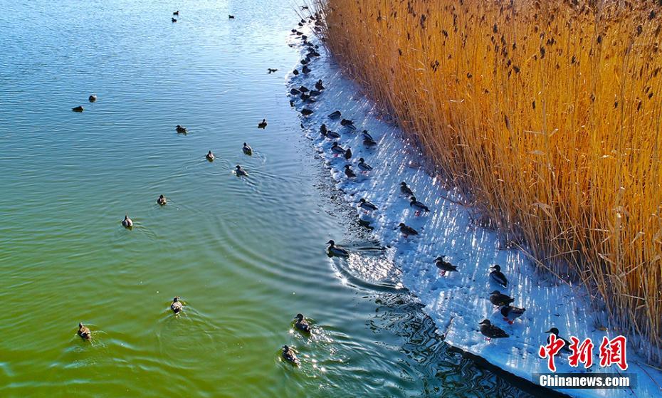 A global climate change summit concluded with 118 countries committing to cut greenhouse gas emissions by 53% by 2030