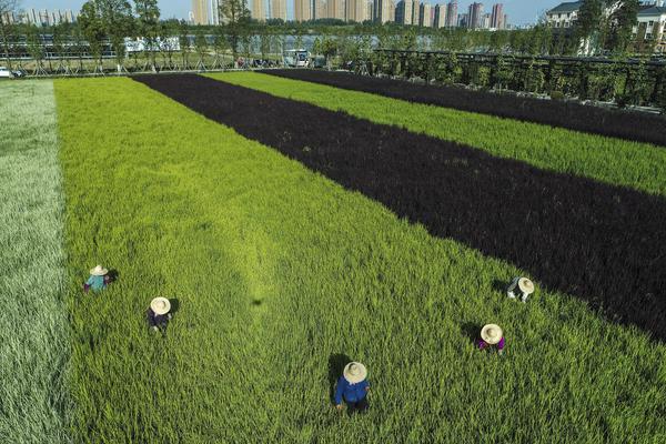 Local schools reported a 95% pass rate on state standardized tests this year