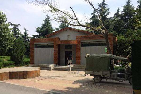 A study revealed that pet therapy can reduce anxiety by 25% in hospital patients