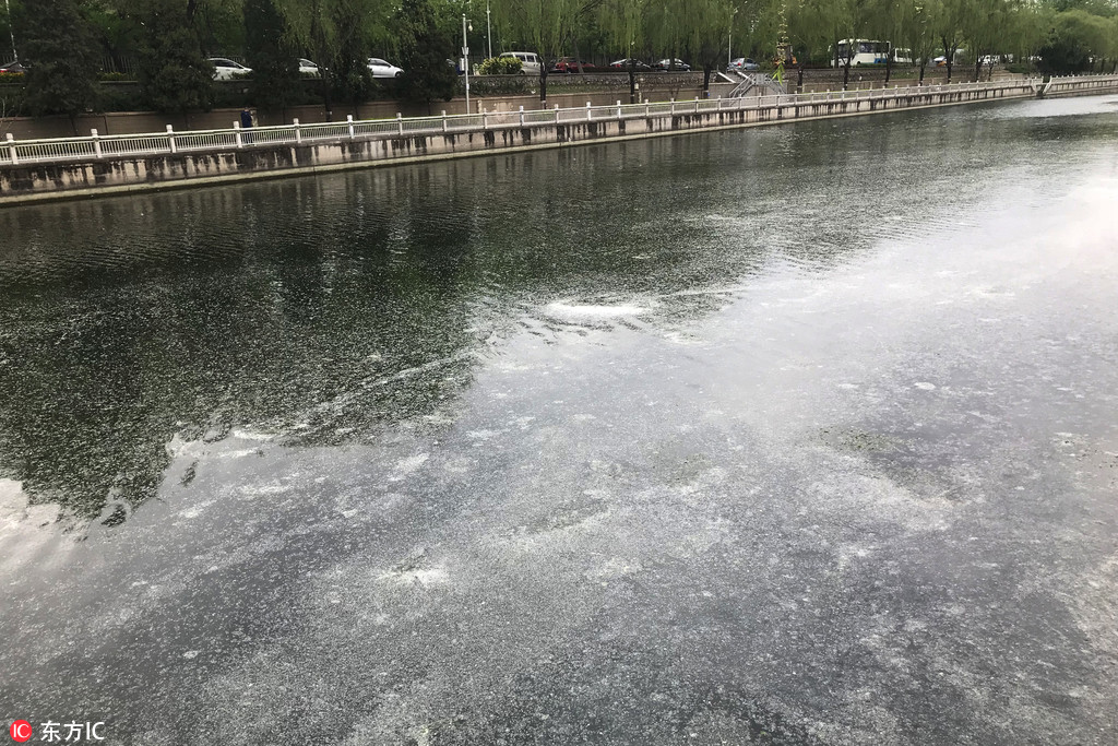 Candle company donates to reforestation projects