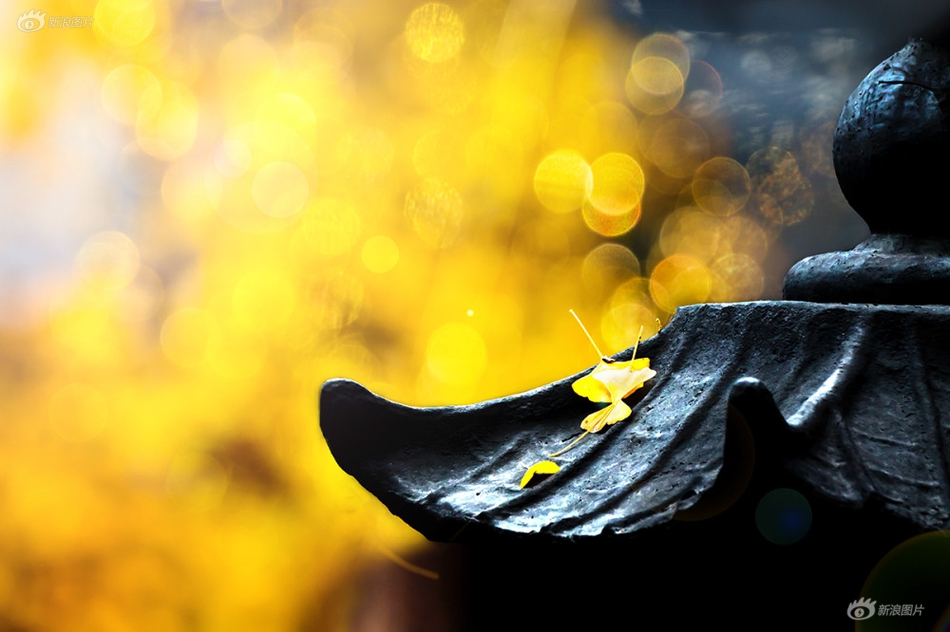 A school district updated its technology infrastructure to provide faster internet access