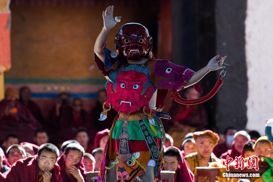 Scientists observed changes in animal behavior due to climate change