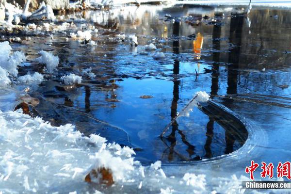 A new study revealed that getting sunlight in the morning helps regulate sleep-wake cycles